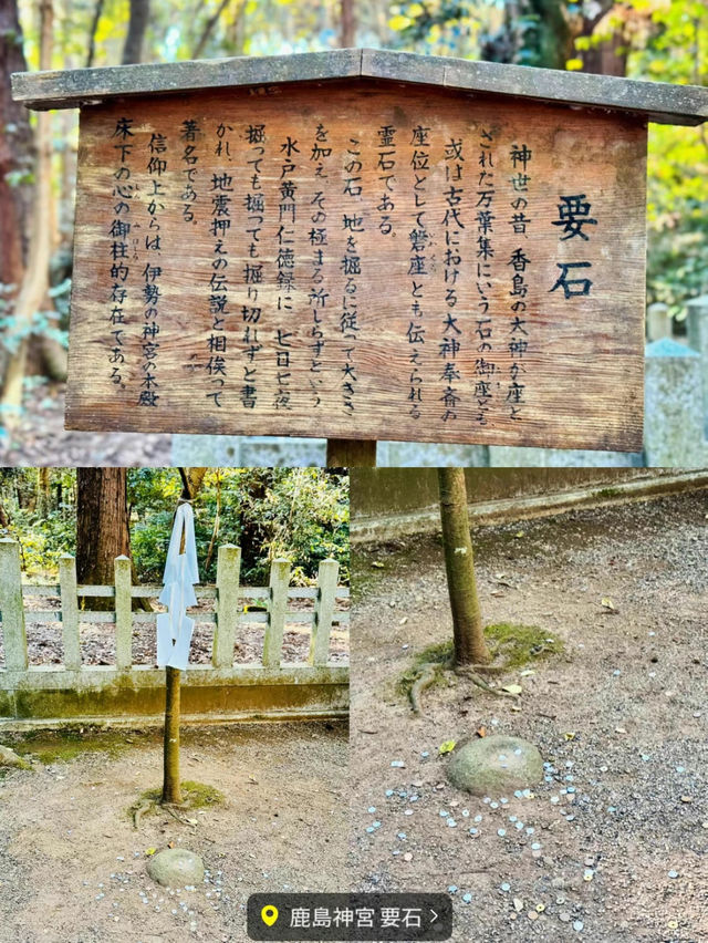 【絶景】神秘的な美しさのパワースポット⛩
