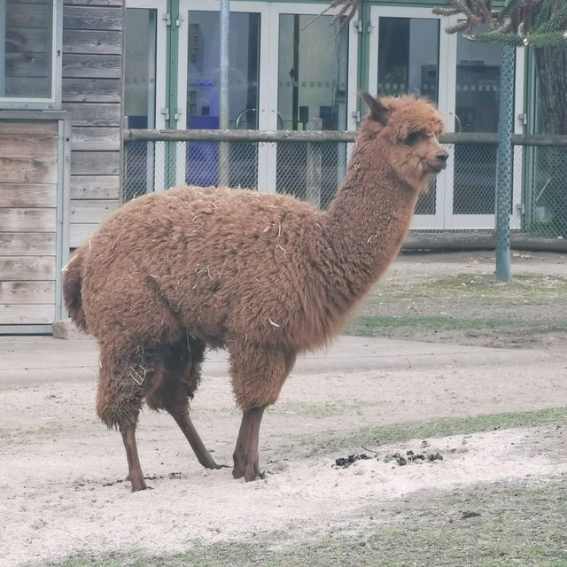 Zoo And Garden as one at Karlsruhe 