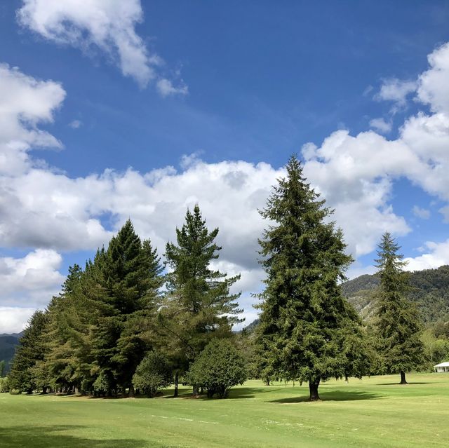Vintage Bliss: Wairau Valley Chronicles