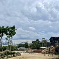 Huge Zoo in Sydney, Australia