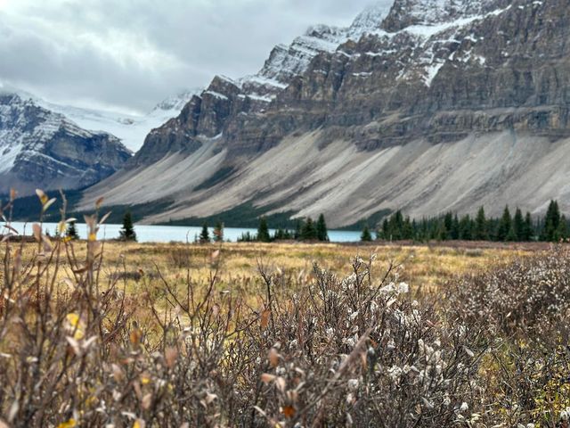 Stunning view on the road in Icefield Parkway