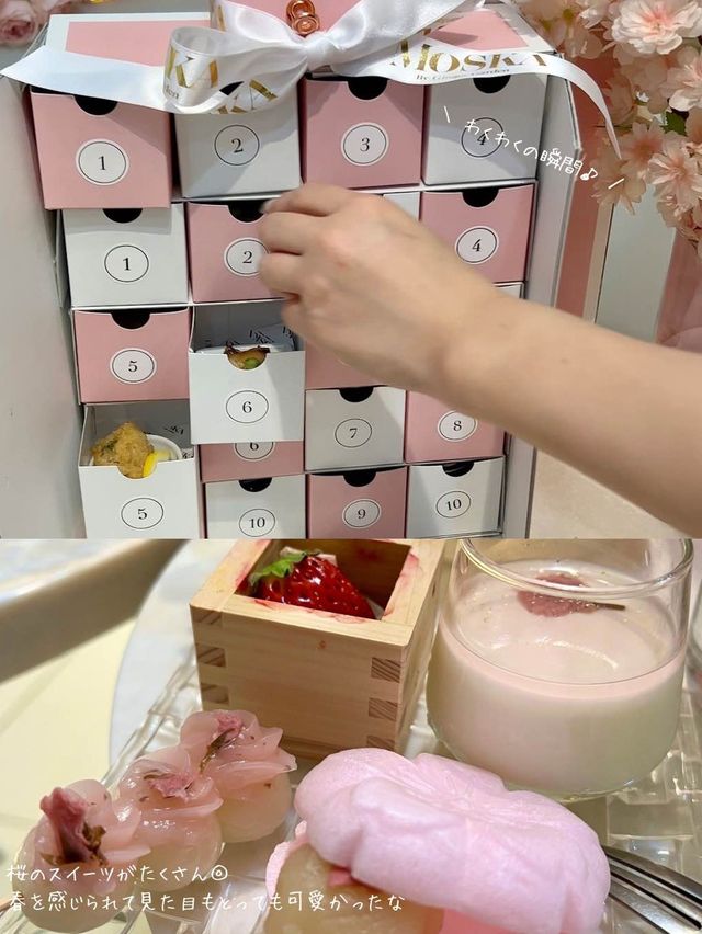 【東京/表参道】室内でお花見ができる🌸かわいすぎるアフタヌーンティー