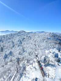 케이블카만 타고 올라가면 볼 수 있는 역대급 설산 풍경🩵