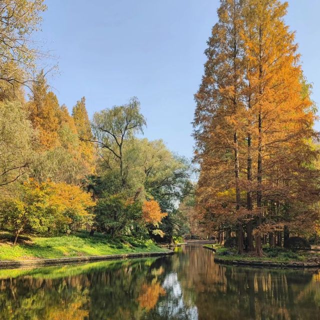 公園逍遙樂😌人民公園