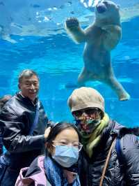 好值得去的海洋王國