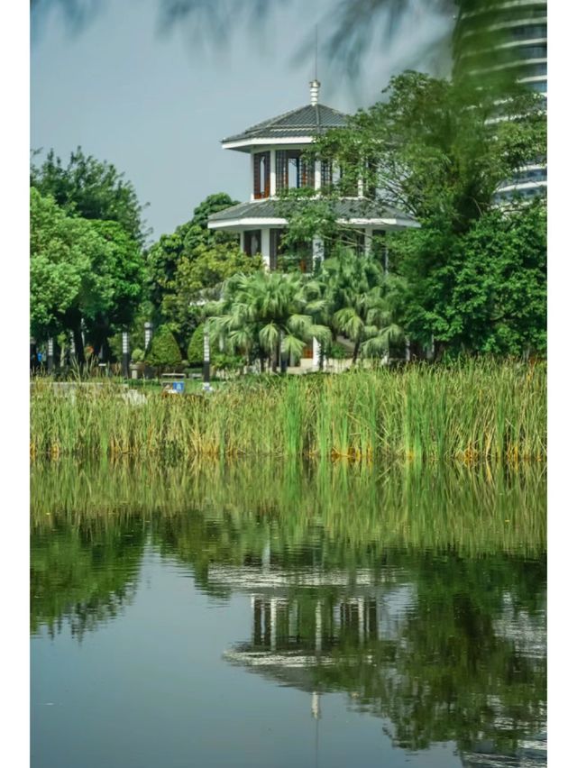 水墨園：廣州的古典園林與藝術綠洲🎨