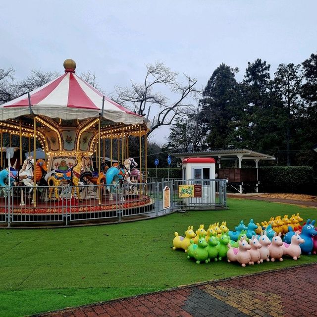 Amanohashidate Viewland ดินแดนสวรรค์