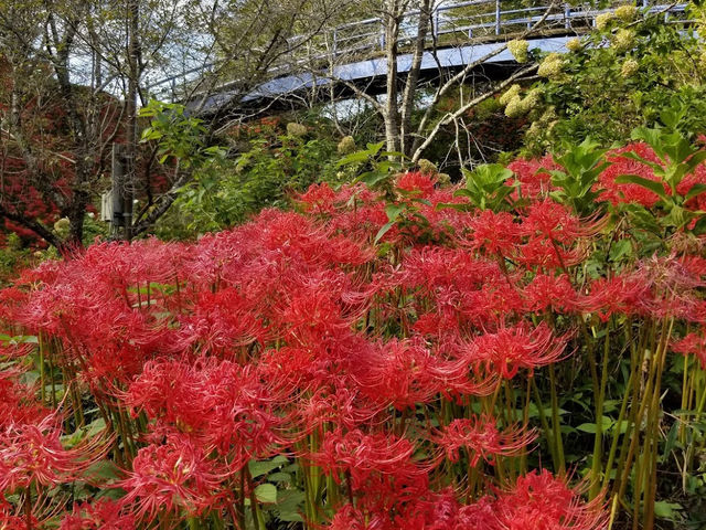 Shiroyama Park