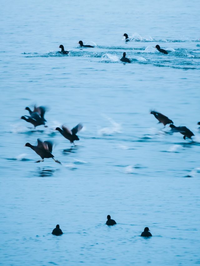 幻の道（滋賀県長浜市）