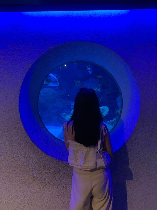 Visiting Aquaria KLCC, Kuala Lumpur 🇲🇾