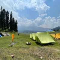 Strawberry Valley 🌸 Kashmir