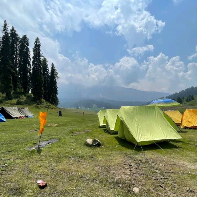 Strawberry Valley 🌸 Kashmir