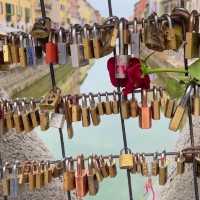 Charming District of Navigli