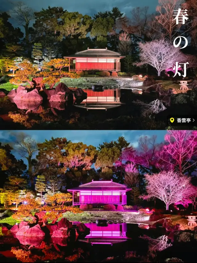  【京都】2024年も開催決定！世界遺産二条城で楽しむ夜桜イベント🌸🏯