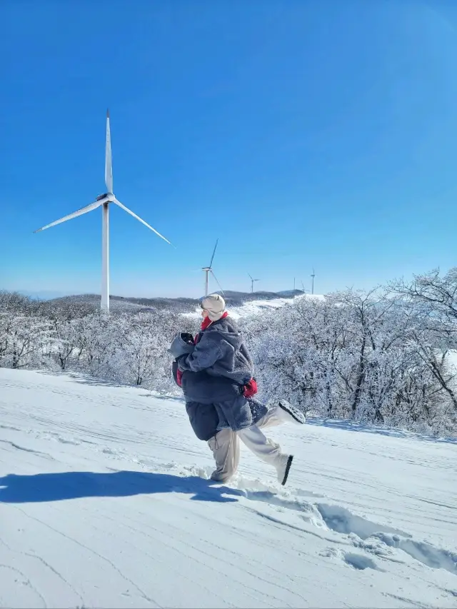 눈소식 있으면 달려가야할 겨울왕국❄️