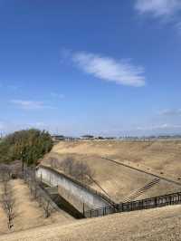 【大阪府】辰年に行ってみたい「龍神社」
