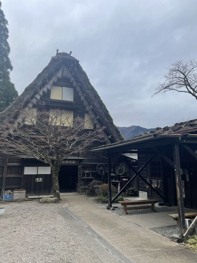 下呂溫泉合掌村｜必玩！100yen 「森林溜滑梯」🌟