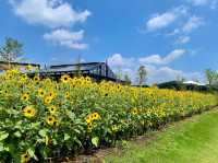 Ibaraki Flower Park