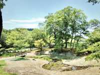 Municipal Kitayama Park