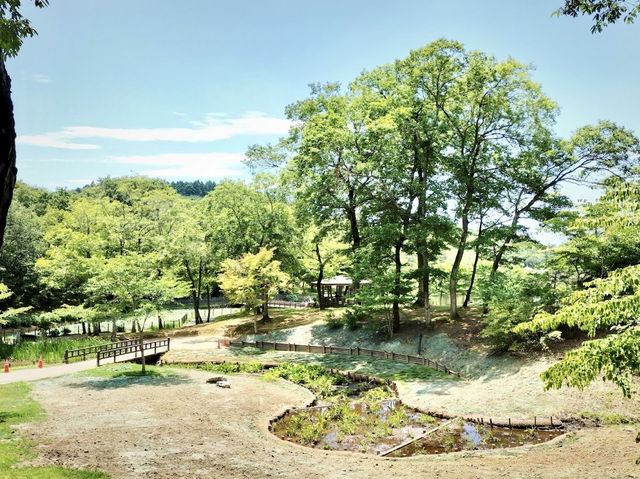 Municipal Kitayama Park