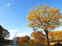 Yoyogi Park