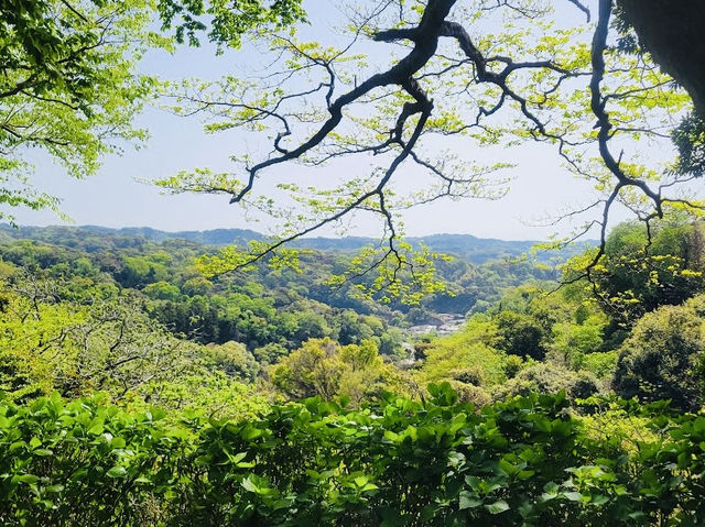 Small Shrine on Daihatsu Hiking  Trail