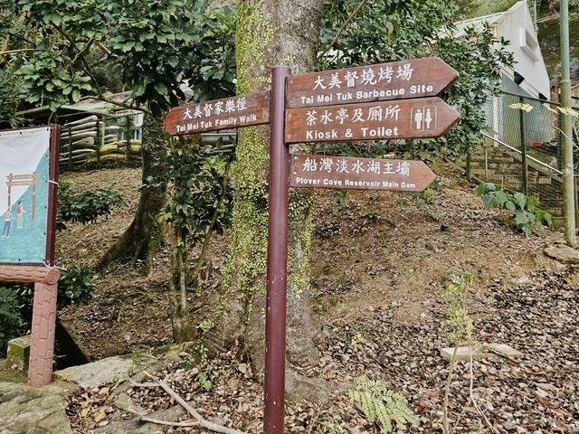 大埔區看日落的好地方