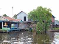 Siam Reap Floating Village: Aquatic Life