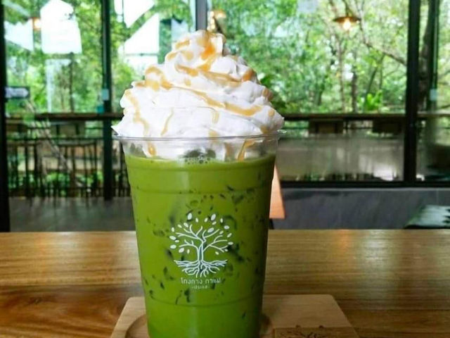 Kongkang Kafe โกงกาง