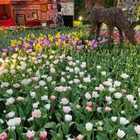 Flower Dome: Tulipmania 2021