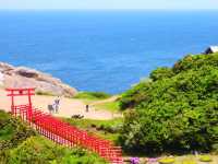 【鳥居と海が見える絶景スポット★】元乃隅神社