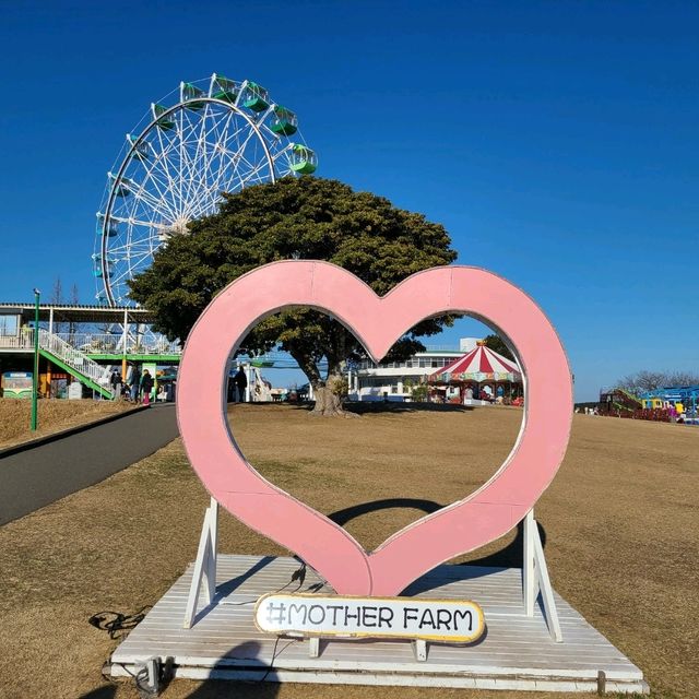自然と動物と触れ合えるスポット