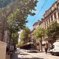 Journey through Parc Longchamp's Zoological 