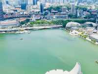 SkyPark Observation Deck