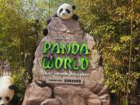 Back to the childhood at Everland