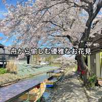 【滋賀】手漕ぎの舟から愉しむ優雅なお花見