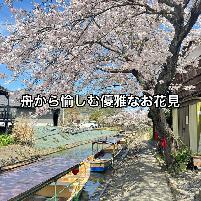 【滋賀】手漕ぎの舟から愉しむ優雅なお花見