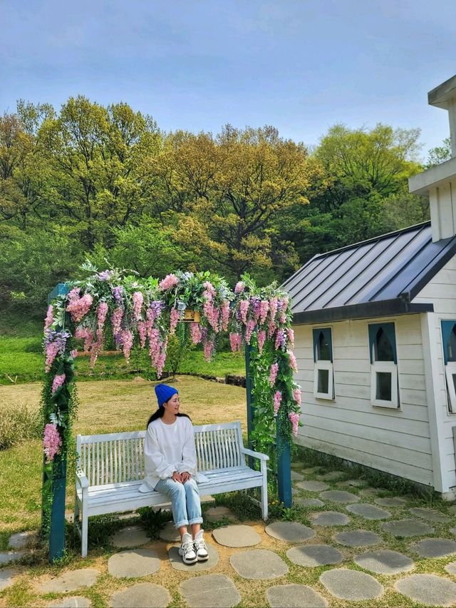 순천에서 젤예쁜 유채꽃 스팟일지도💛