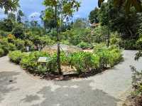 Singapore Botanic Gardens Gallop Extension