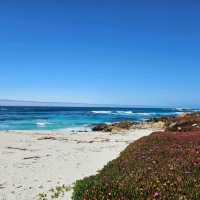 Spanish bay and 17-mile drive at Pebble beach