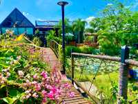 ร้านนาบ้านเราคาเฟ่