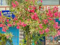 Blossom seems to hold a piece of magic🌸🇳🇵