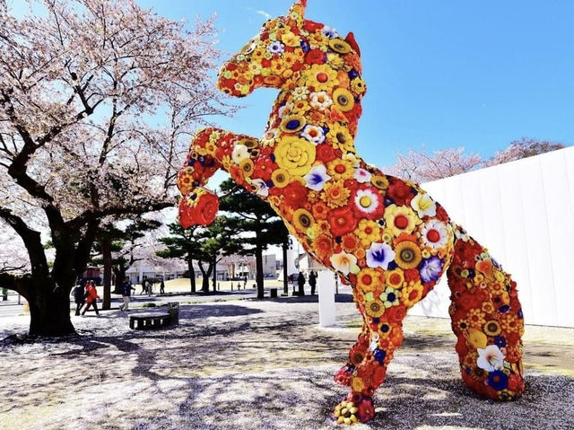 十和田美術館櫻花