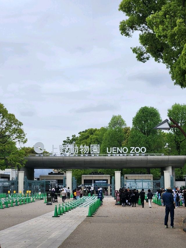 우에노역 바로 근처의 대표적인 관광지, 우에노공원