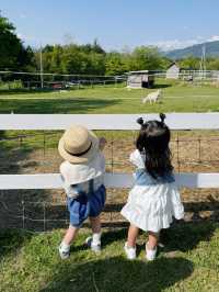 うさぎやヤギのお散歩体験ができる！子連れにオススメ牧場