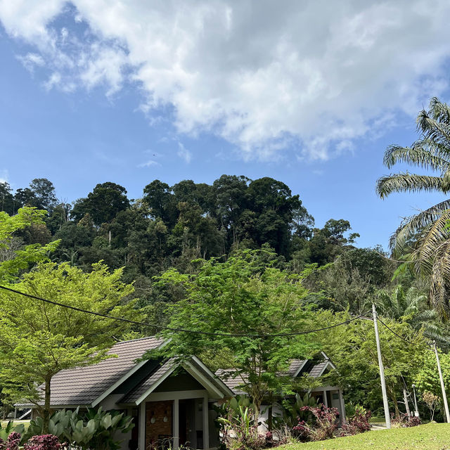 A Tranquil Place Sementra Nature Resort