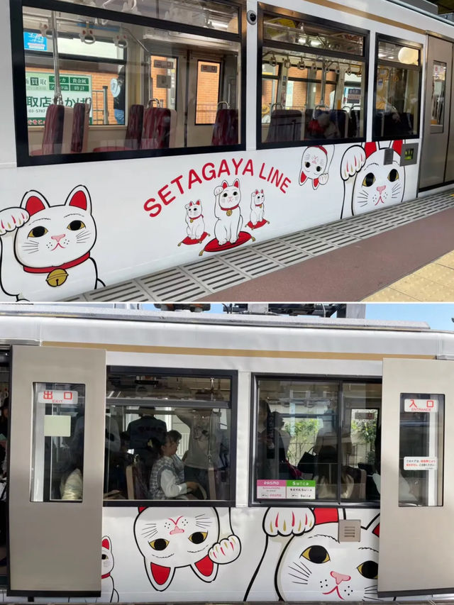 東京的秘密花園：豪德寺與千貓的祝福