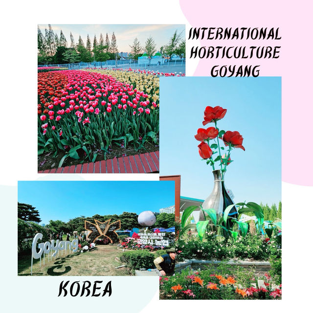 A Floral Extravaganza at INTERNATIONAL HORTICULTURE GOYANG KOREA 2024 