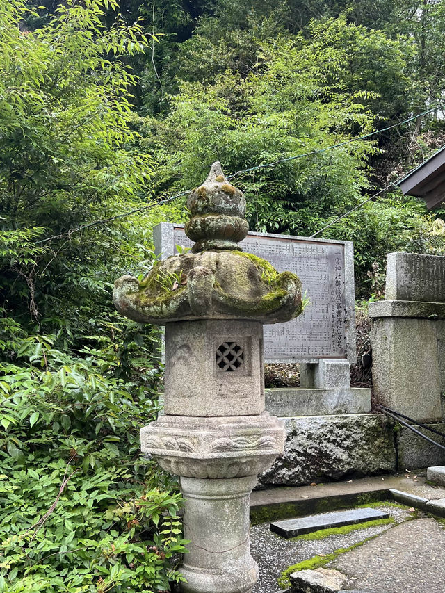 【北九州神社】看板猫に会えるかも？古代から続く神社