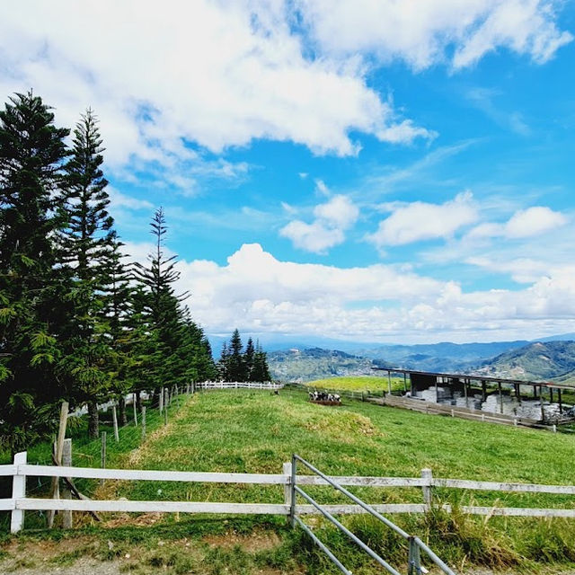 New Zealand Scenery in Malaysia 